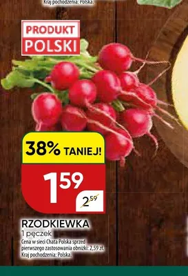 Rzodkiewka polska promocja w Chata Polska