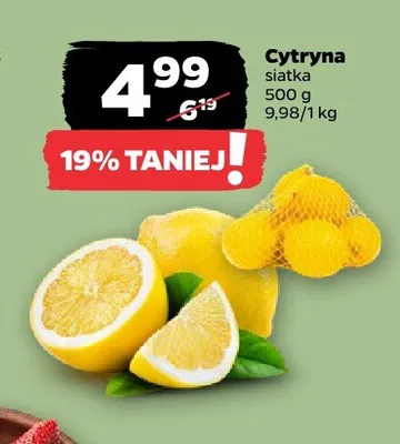 Cytryna siatka promocja w Netto