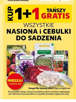 Nasiona na kiełki rzodkiewka W.Legutko promocja w Kaufland
