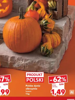 Dynia olbrzymia polska promocja w Kaufland