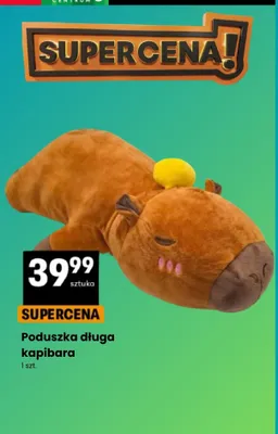 Poduszka długa kapibara promocja w Dzień Dziecka