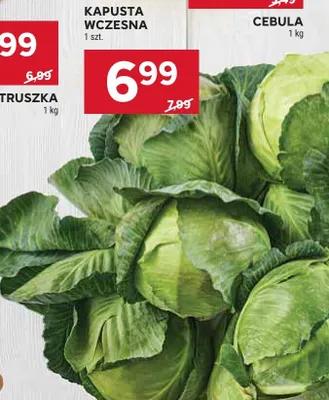 Kapusta promocja w Stokrotka