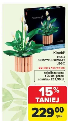 Klocki 11504 SKRZYDŁOKWIAT LEGO promocja w Carrefour