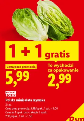 Minisałata rzymska 2-pak promocja w Lidl