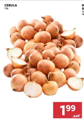 Cebula promocja w Stokrotka