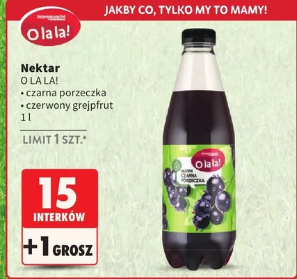 Nektar czarna porzeczka promocja w Intermarche