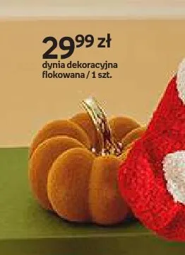 Dynia dekoracyjna flokowana Hello Autumn promocja w Empik