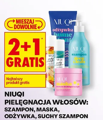 Produkty do pielęgnacji włosów: szampon, maska, odżywka, suchy szampon 2+1 GRATIS promocja w Biedronka