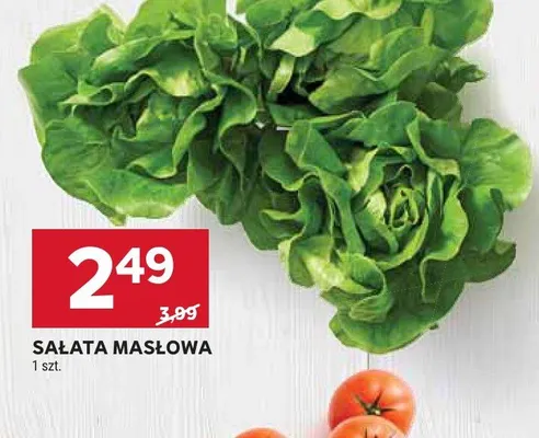 Sałata masłowa promocja w Stokrotka