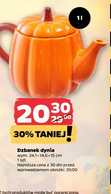 Dzbanek dynia 1 l promocja w Netto