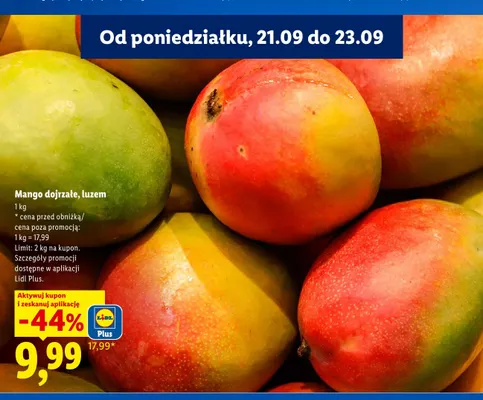 Mango dojrzałe luzem promocja w Lidl