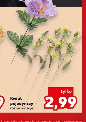 Kwiat pojedynczy promocja w Kaufland