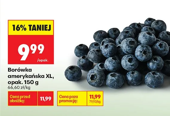 Borówka amerykańska XL promocja w Biedronka