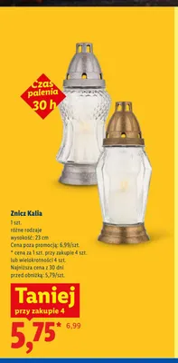 Znicz Kalia promocja w Lidl