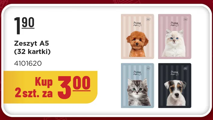 Zeszyt A5 Interdruk 32 kartki promocja w MR. DIY