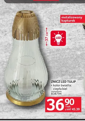 Znicz LED Tulip promocja w Selgros