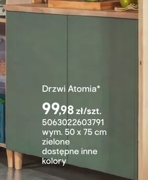 Drzwi Atomia wym. 50x75cm zielone promocja w Castorama
