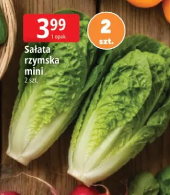 Sałata rzymska mini promocja w Leclerc