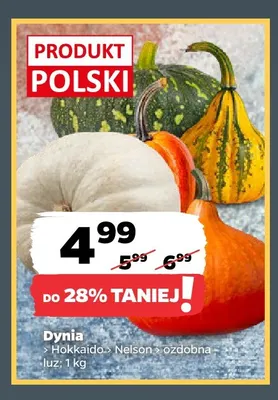 Dynia Nelson promocja w Netto