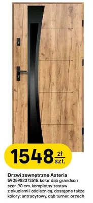 Drzwi zewnętrzne Asteria 5905982373515 promocja w Castorama