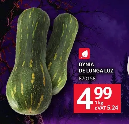 Dynia De Lunga promocja w Selgros