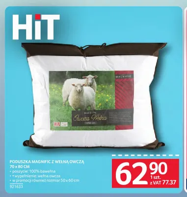 Poduszka Magnific z wełną owczą 70x80 cm promocja w Selgros