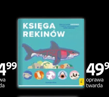 Książka Księga rekinów promocja w Empik
