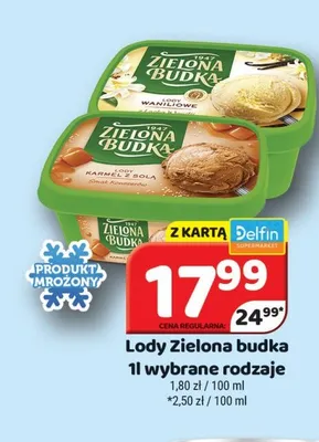 Lody Zielona Budka promocja w Delfin