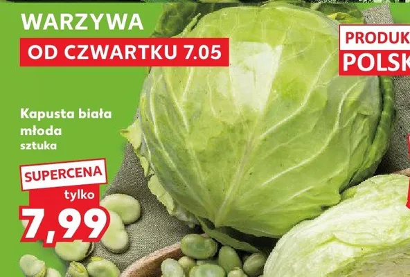 Kapusta biała młoda promocja w Kaufland
