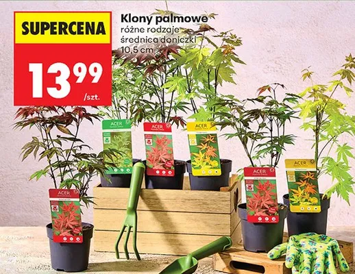 Od poniedziałku, strona 40 promocja w Biedronka