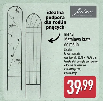 Metalowa krata do roślin promocja w Aldi