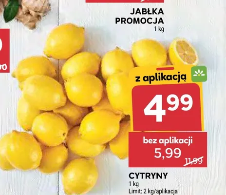 Cytryny promocja w Stokrotka