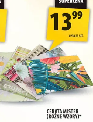 Cerata Mister różne wzory* promocja w Arhelan