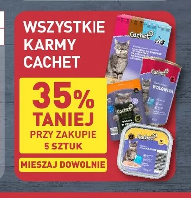 Karma dla kotów mokra Cachet promocja w Aldi