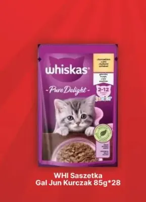 Karma dla kota Whiskas saszetka galaretka Junior kurczak promocja w API Market