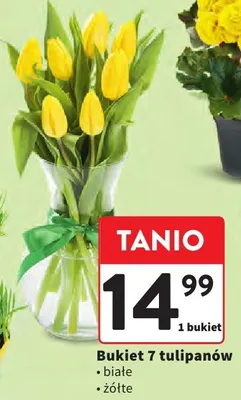 Bukiet 7 tulipanów promocja w Intermarche