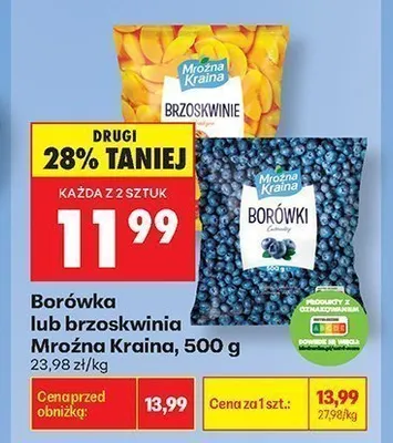 Borówka Mroźna Kraina promocja w Biedronka