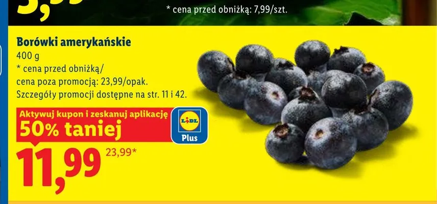 Borówki amerykańskie promocja w Lidl