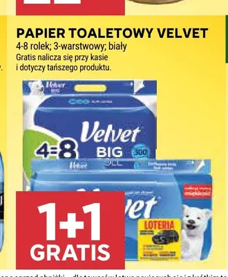 Papier toaletowy Velvet promocja w Stokrotka