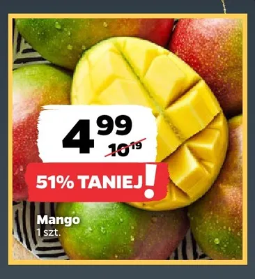 Mango promocja w Netto