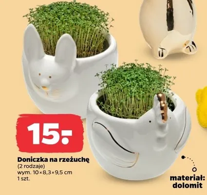 Doniczka na rzeźuchę promocja w Netto