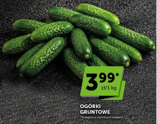 Ogórki gruntowe promocja w Euro Sklep