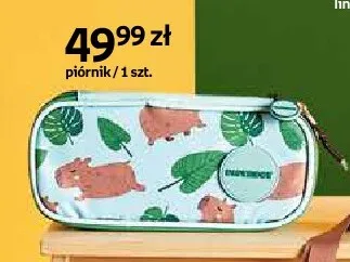 Piórnik Paperdot Cappy Classes miętowy promocja w Empik