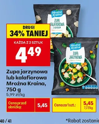Zupa jarzynowa Mroźna Kraina promocja w Biedronka