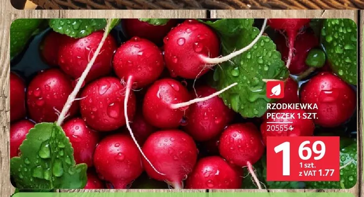 Rzodkiewki promocja w Selgros