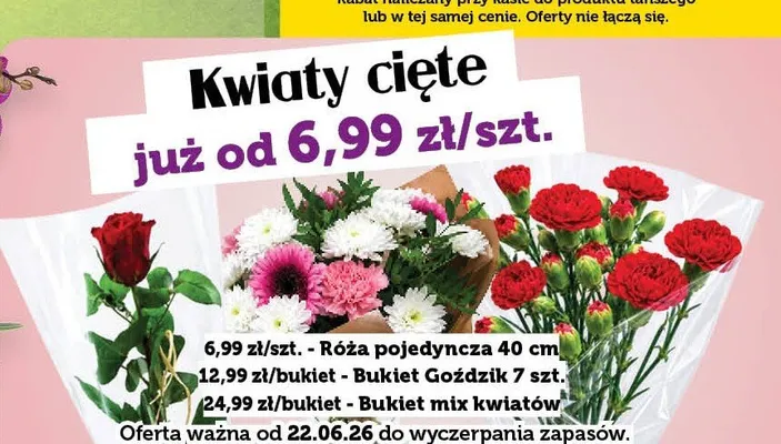 Bukiet Goździk 7 sztuk promocja w TOPAZ