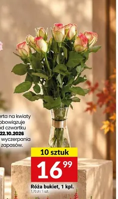 Róża bukiet 10-pak promocja w Twój Market