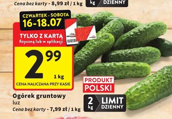 Ogórek gruntowy luz promocja w Intermarche