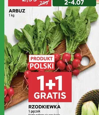 Rzodkiewka promocja w Stokrotka