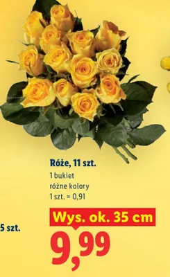 Róże, bukiet 35 cm różne kolory promocja w Lidl